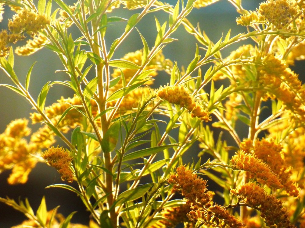 Фотография автора Daniel