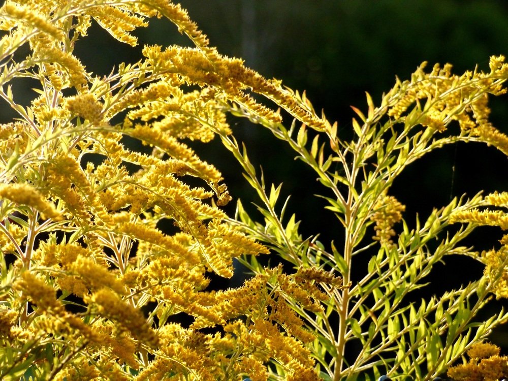 Фотография автора Daniel