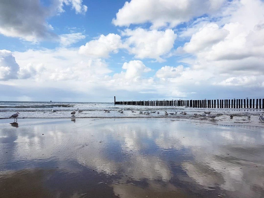 Photograph by Andromeda Grigaleviciute