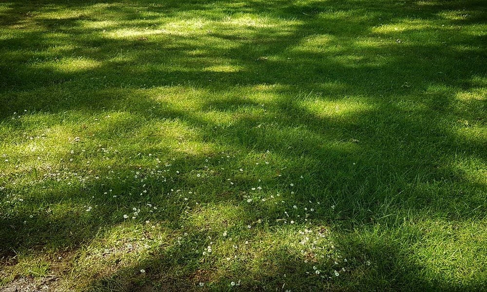 Photograph by Andromeda Grigaleviciute