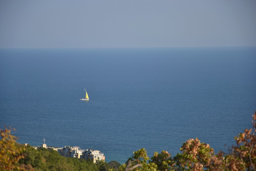 Photograph by Галина