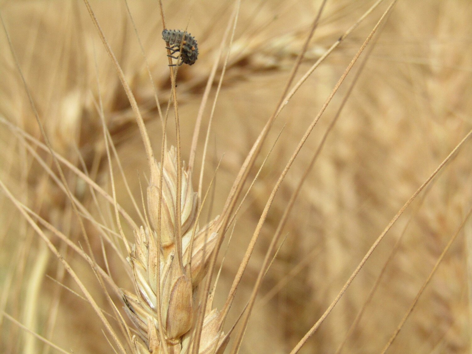 Photo #3629721