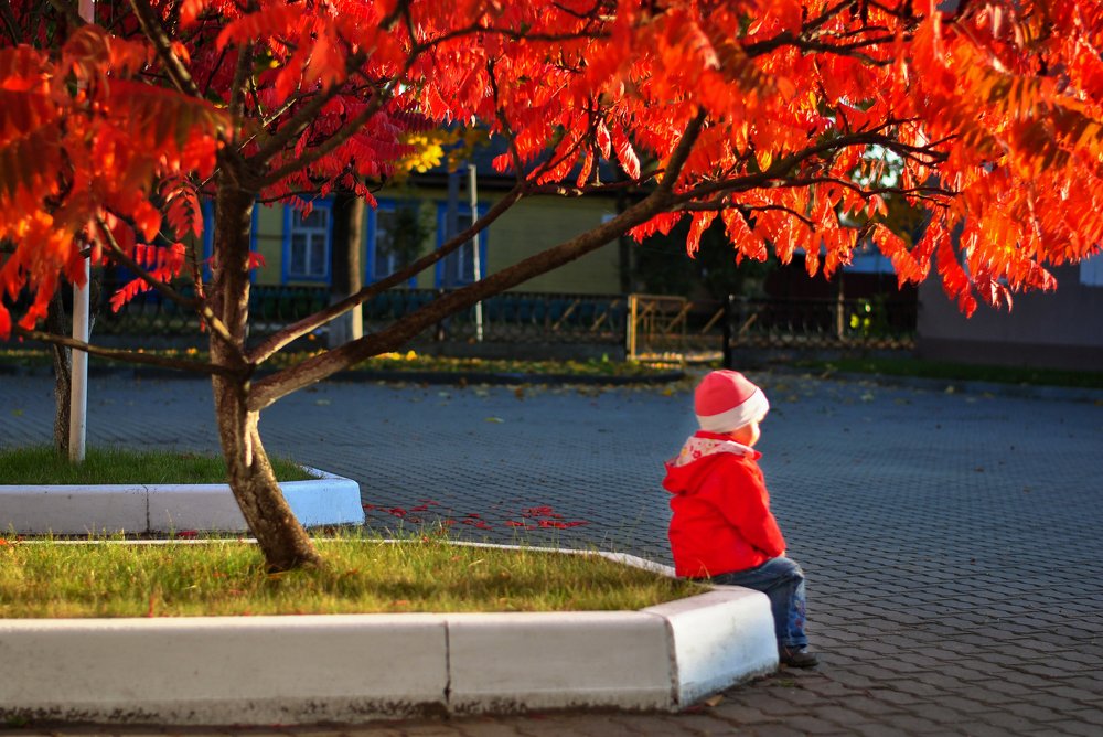 Фотография автора Валентина Пичугина