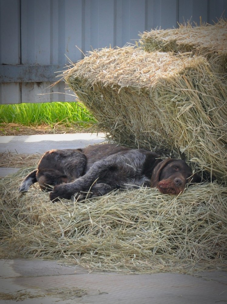 Фотография автора Камиль Хайрутдинов