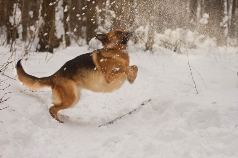 Photograph by Таня Короткова
