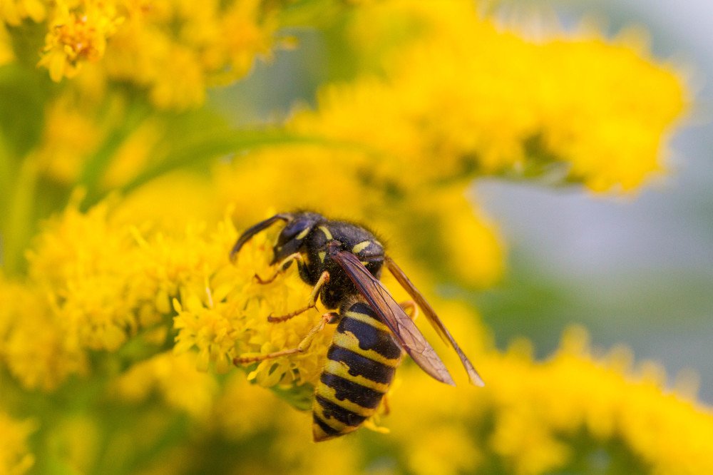 Photograph by Таня Короткова