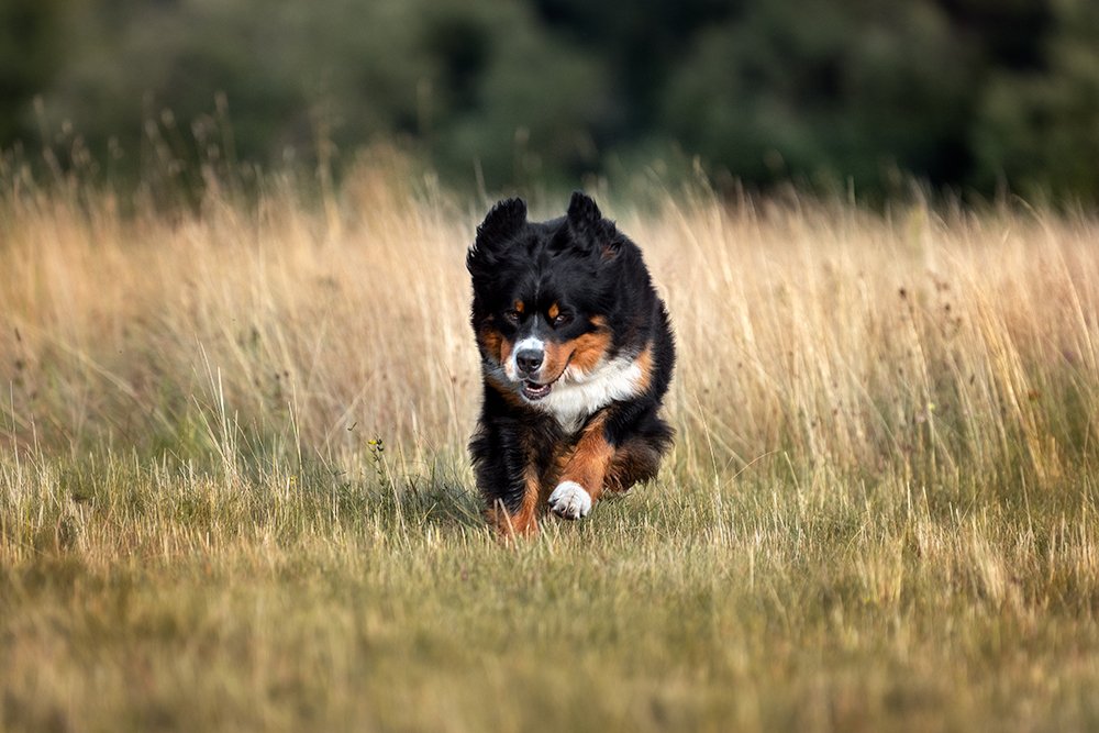 Photograph by Katerina Kutova