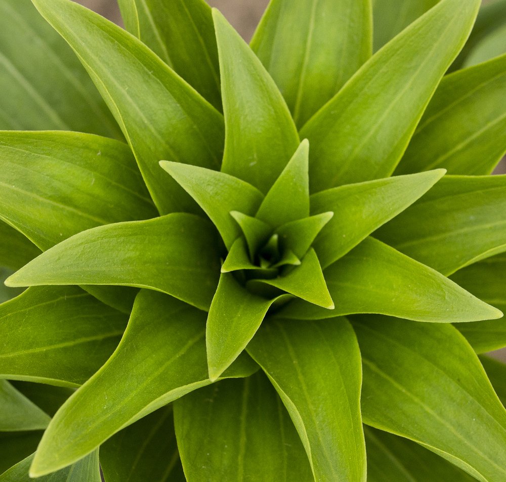 Photograph by Таня Короткова