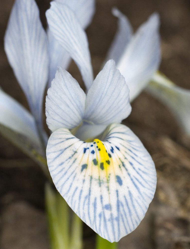 Photograph by Таня Короткова