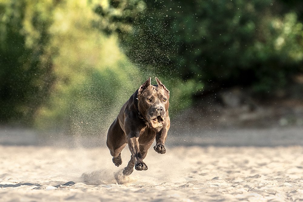 Photograph by Katerina Kutova