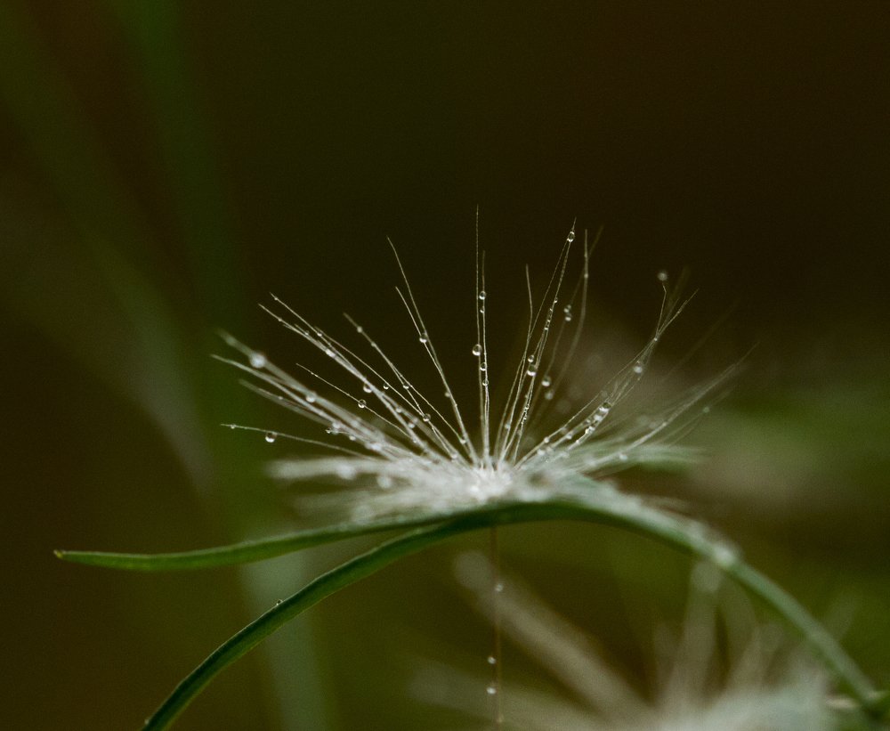 Photograph by Таня Короткова