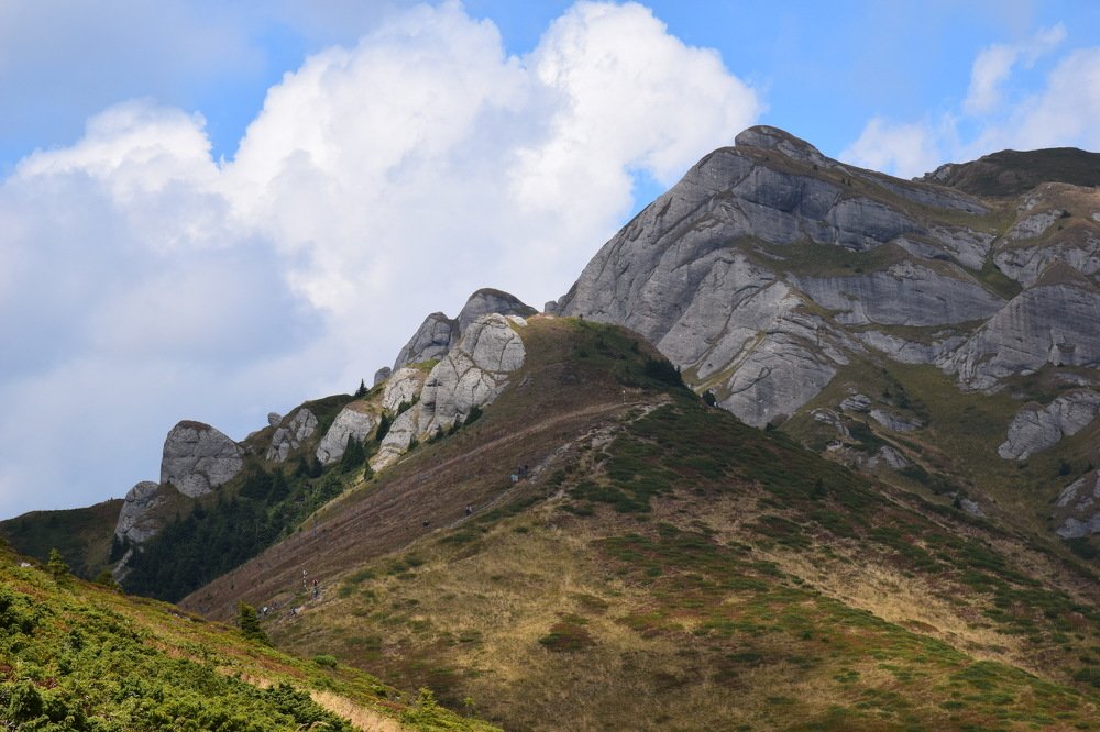 Csukas