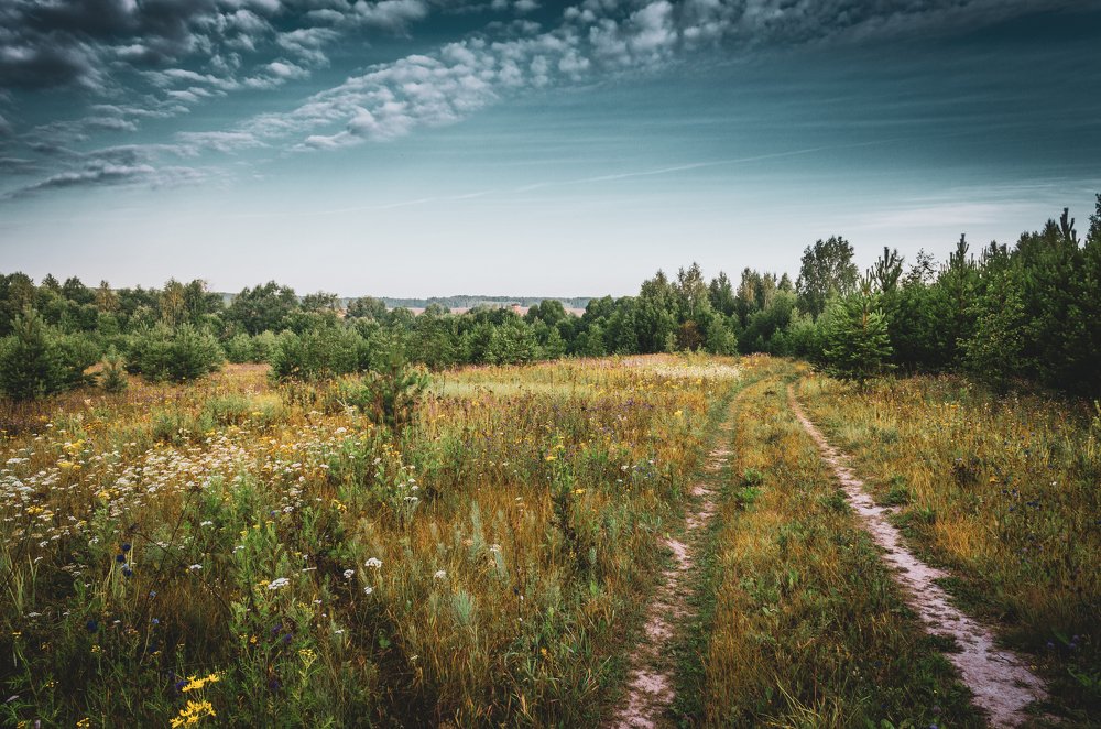 Photograph by Михаил Киселев