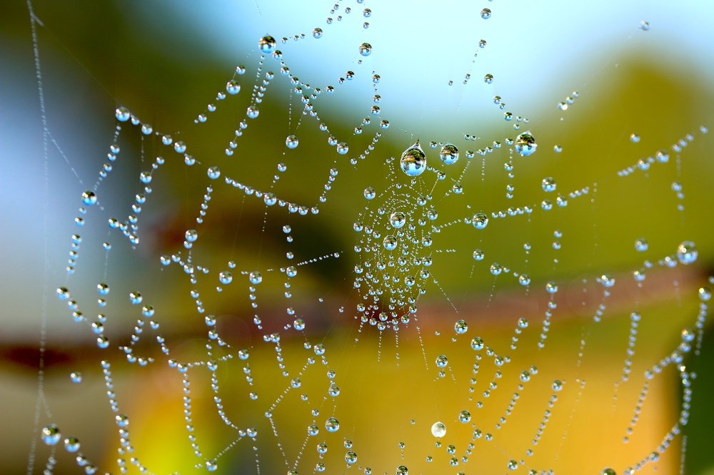 Photograph by Марго Ерёмина