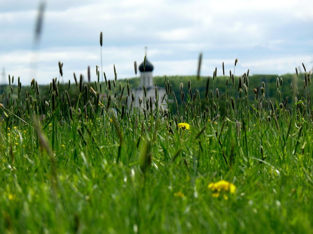 Фотография автора Анатолий Борисов