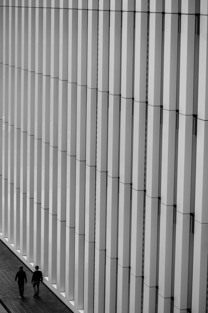 Photograph by Kornelija