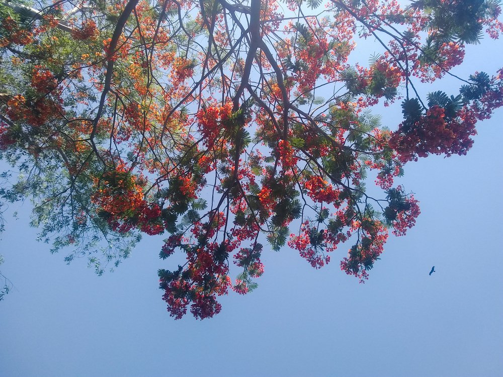 Photograph by Malik Musab