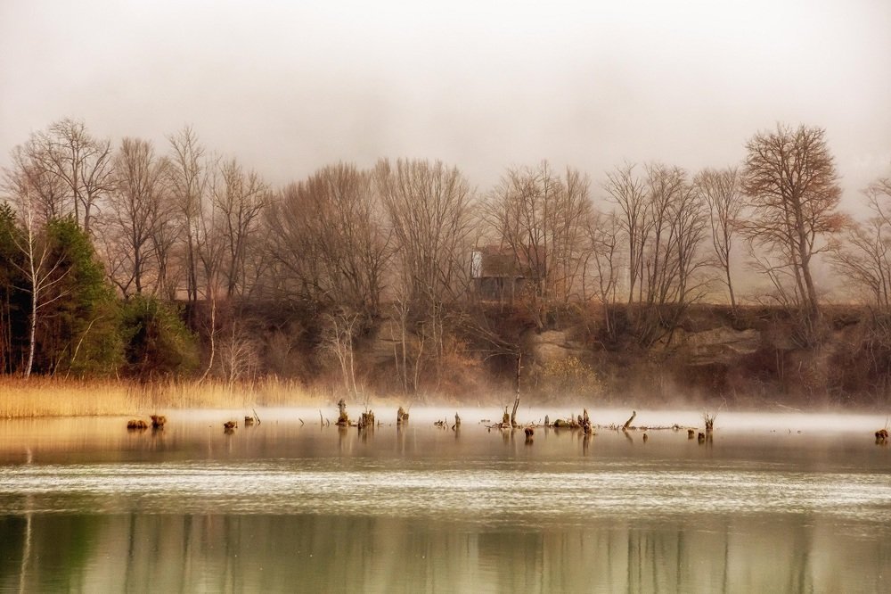 Photograph by zause01