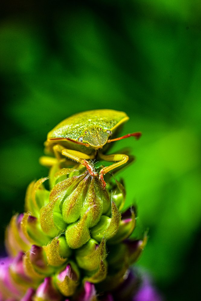 Photograph by Kornelija