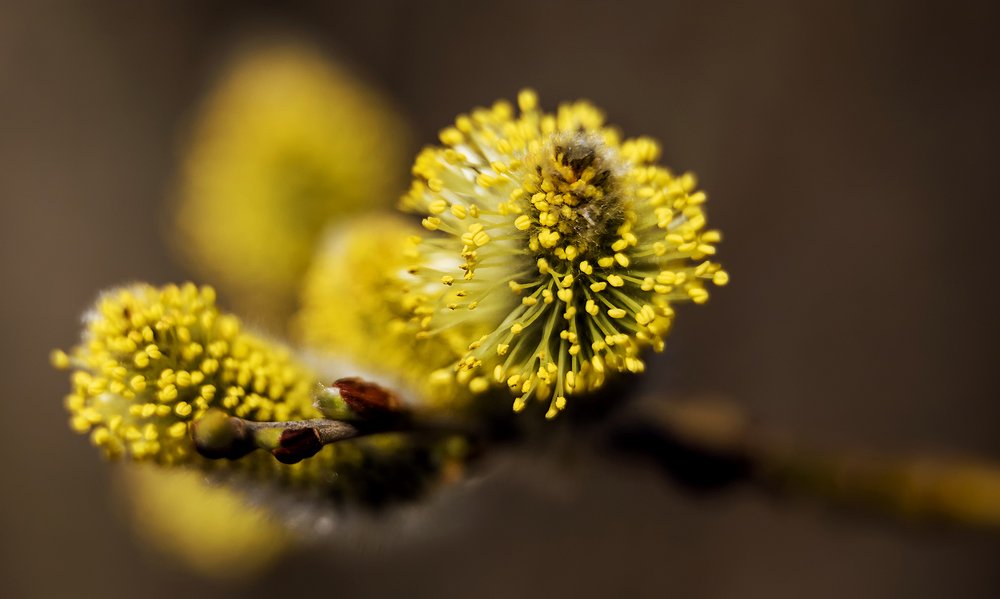 Photograph by Tudor Ghioc