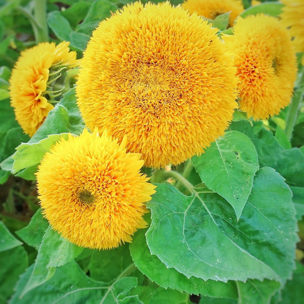 Photograph by Александр Мокеев