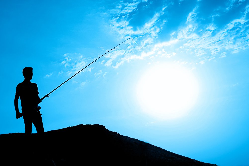 Photograph by fateme farahi