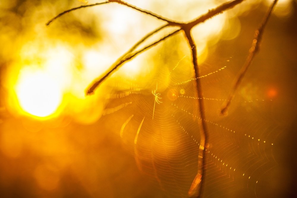 Photograph by Станислав Напалкин