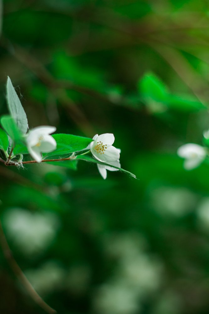 Photograph by Евгения Жилинская