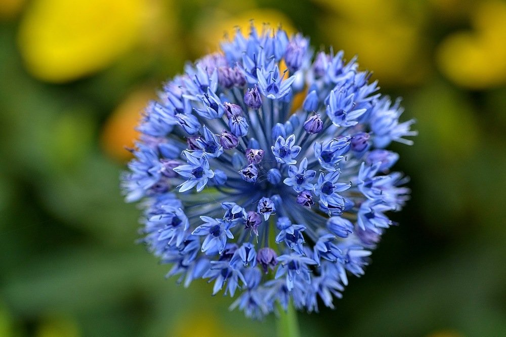 Photograph by Елена Боржковская