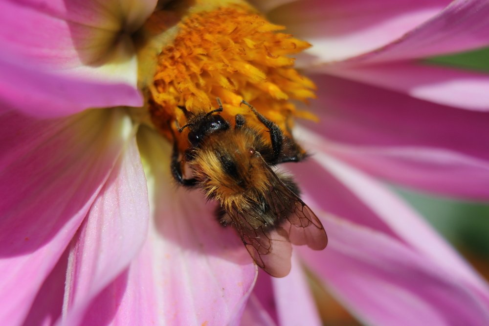 Photograph by Татьяна Фоевцева