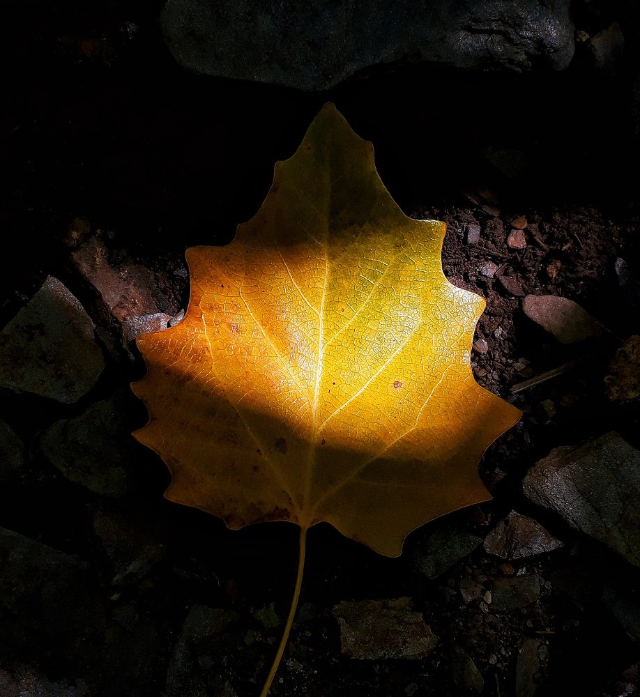 Photograph by Bahrami Ashkan