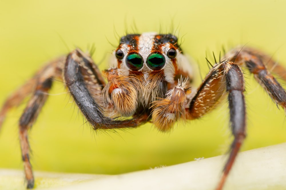 Photograph by Endra Agust