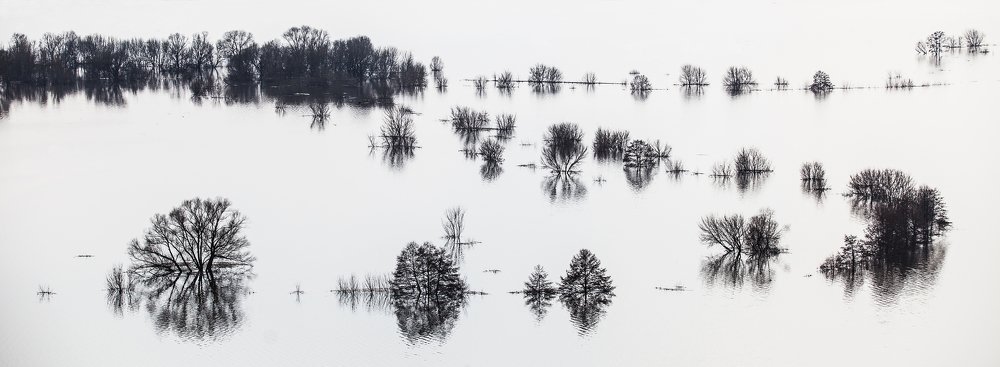 Разлив в Дивногорье