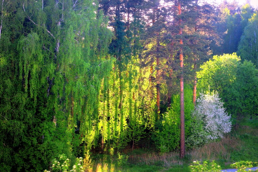 Вид из окна четвёртого этажа