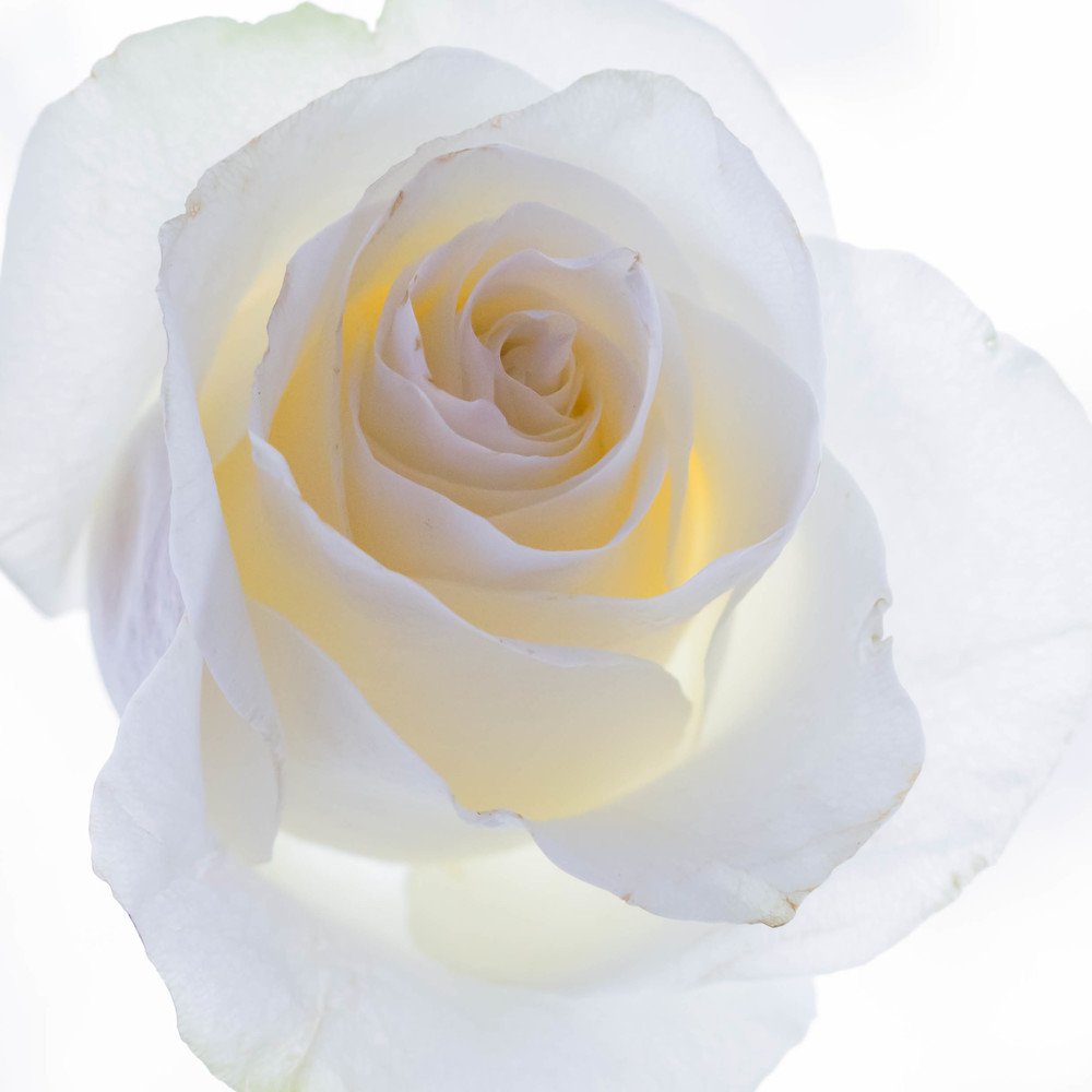 Photograph by Сергей Осинцев