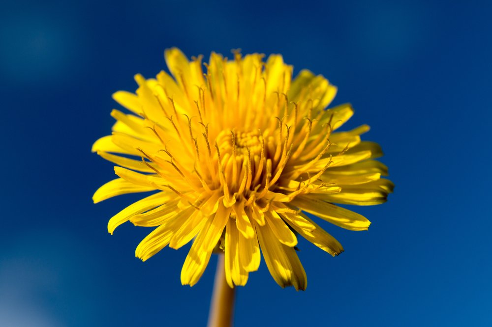 Photograph by Сергей Осинцев