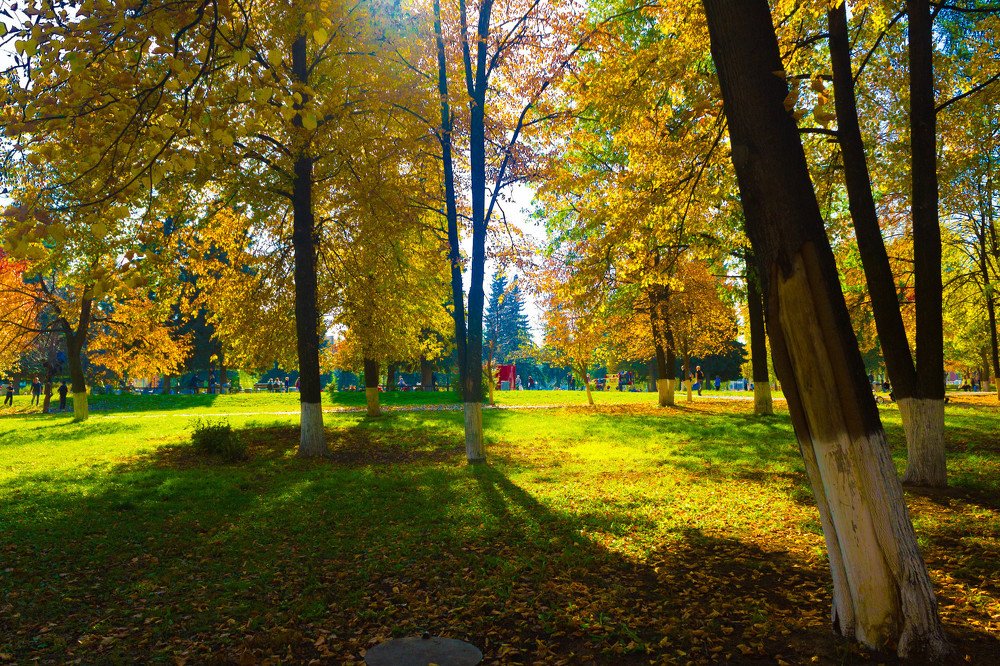 Photograph by Сергей Осинцев