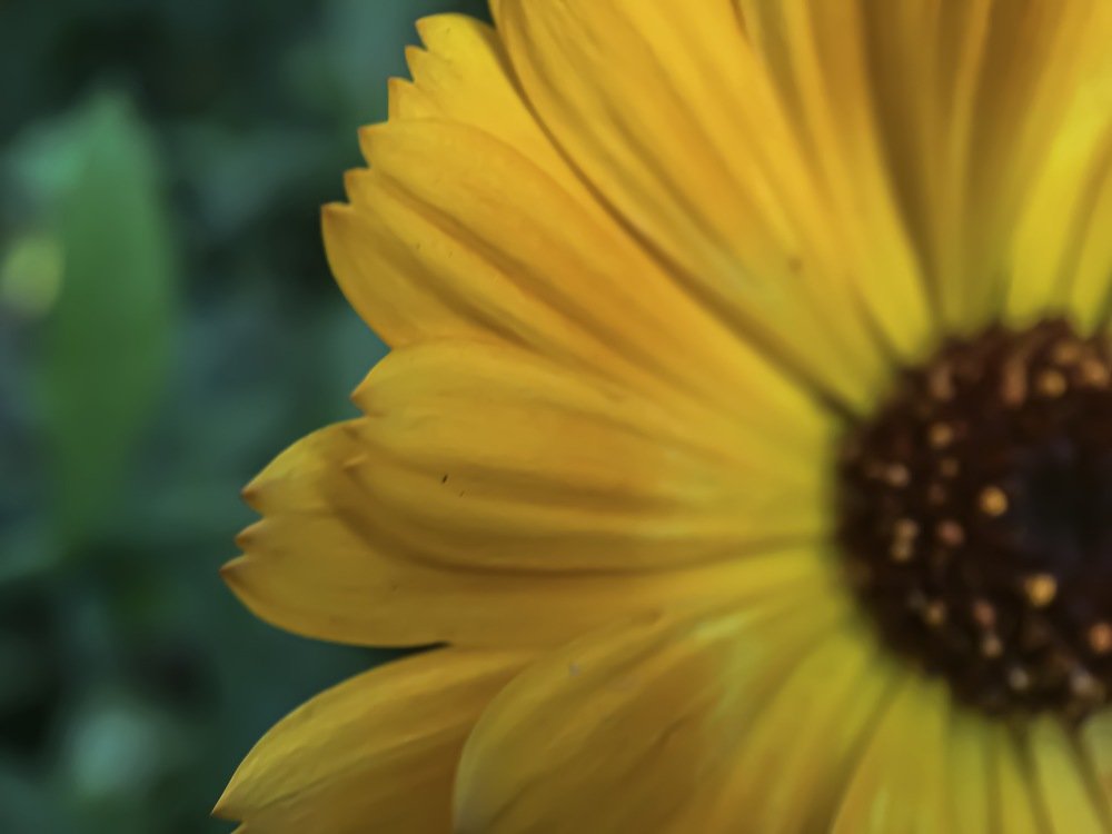 Photograph by Кристина Ковальчук