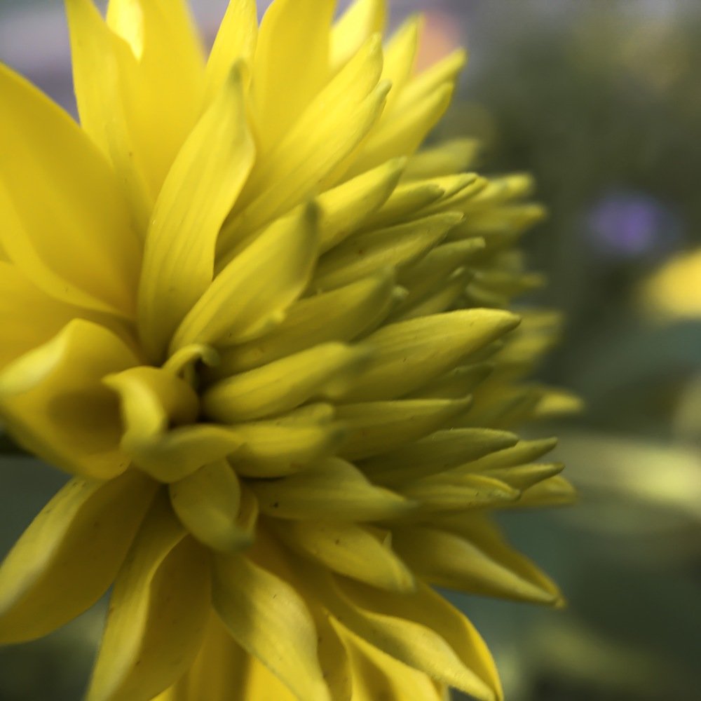 Photograph by Кристина Ковальчук