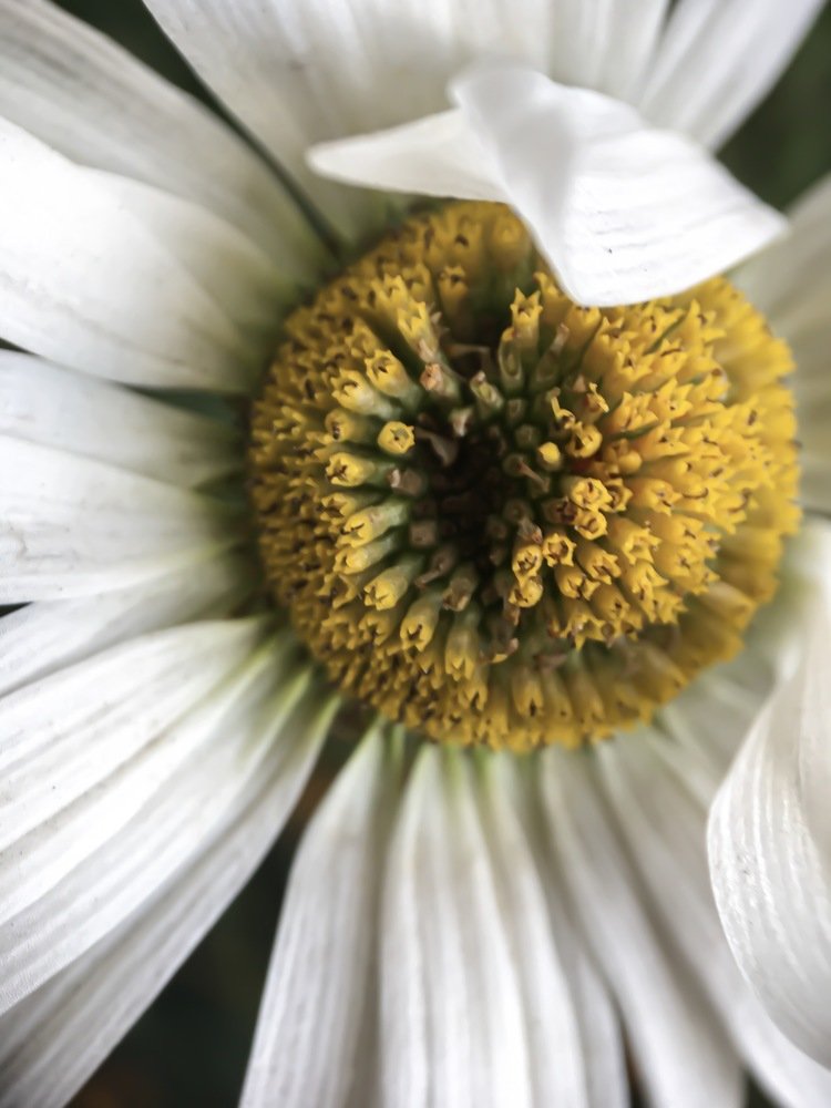 Photograph by Кристина Ковальчук