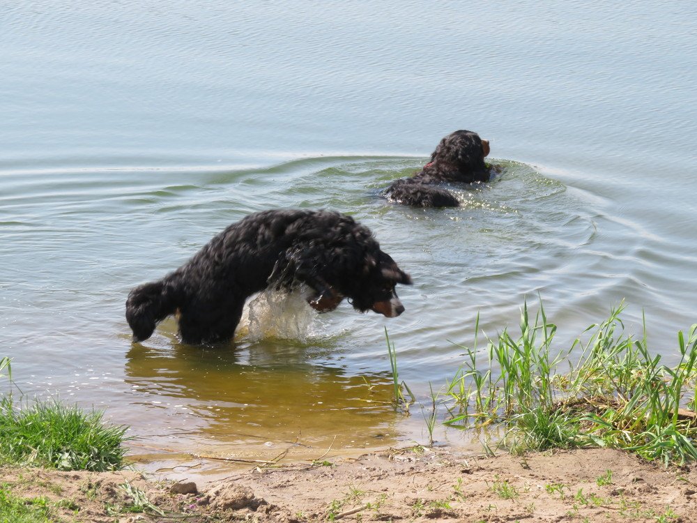Photo #3630765