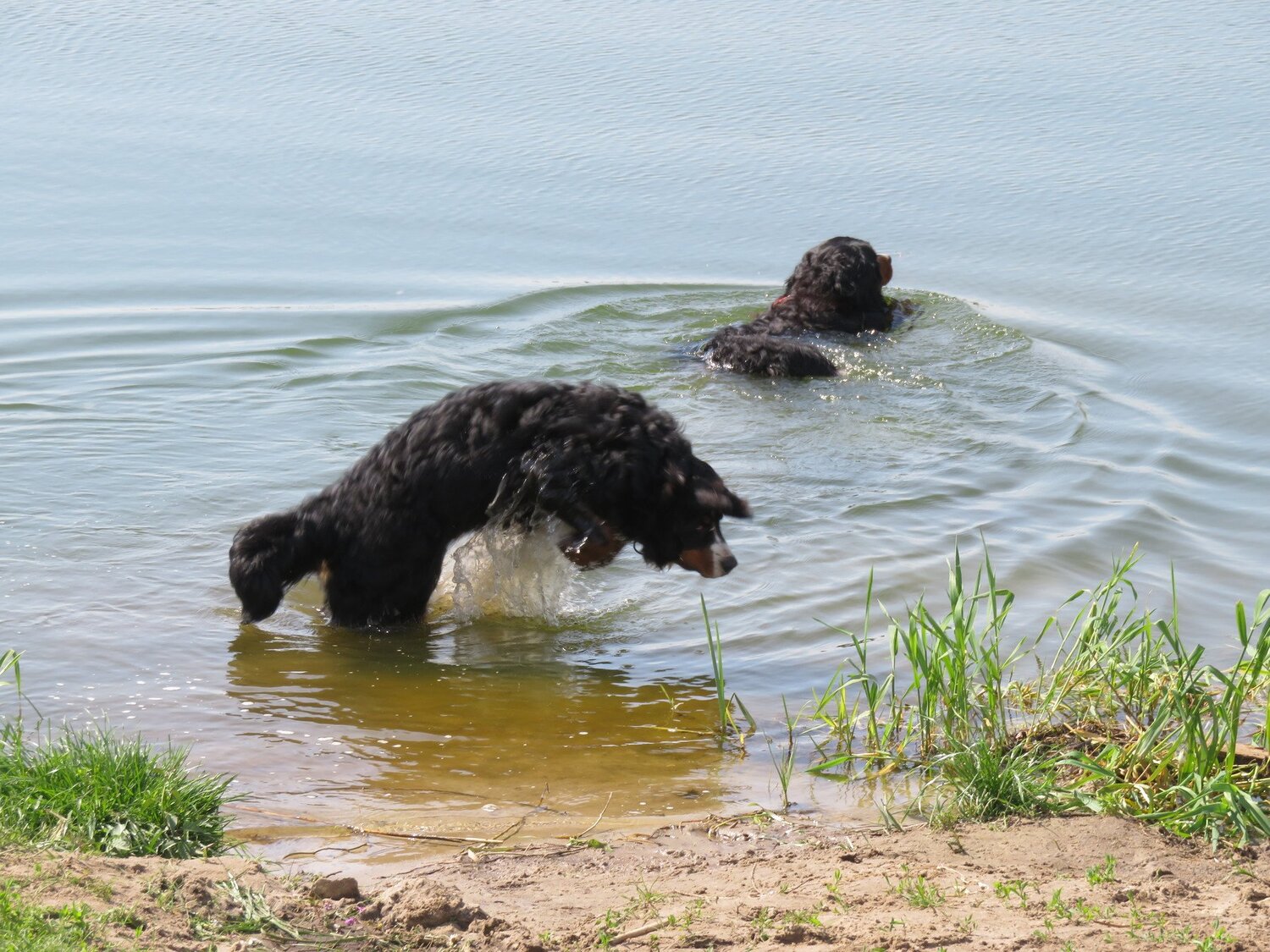 Photo #3630765