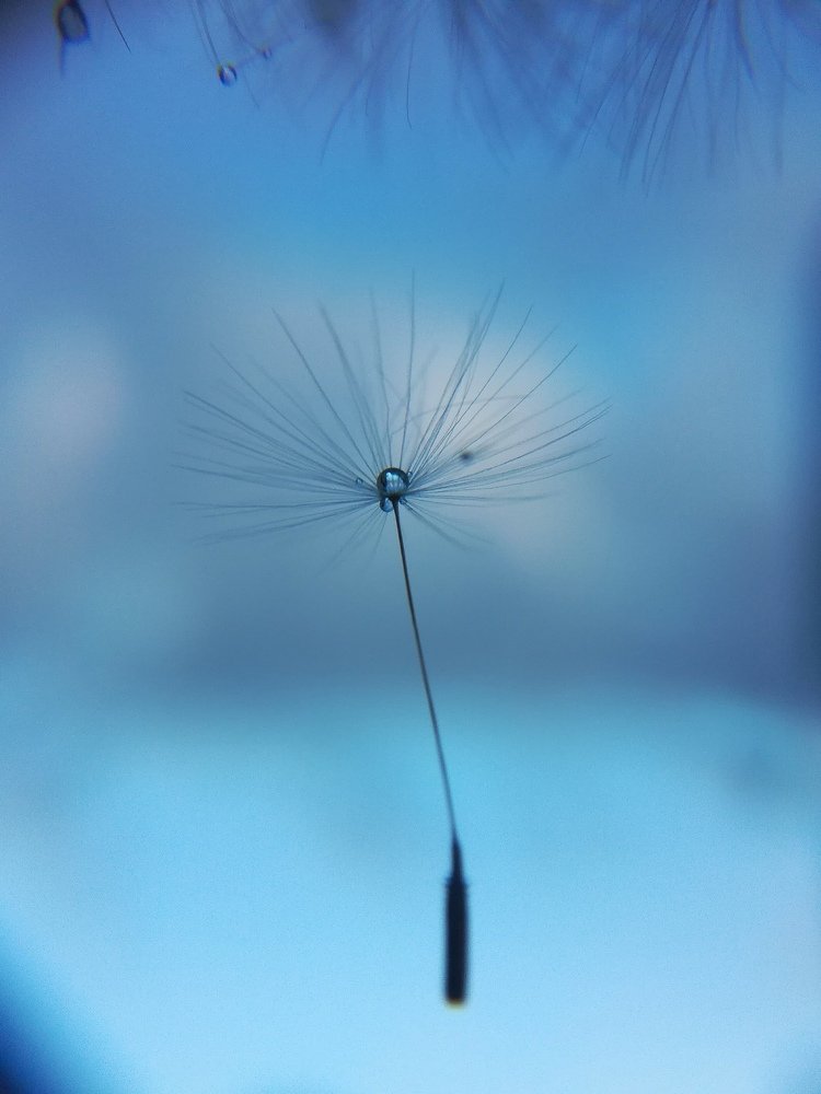 Photograph by Лилия