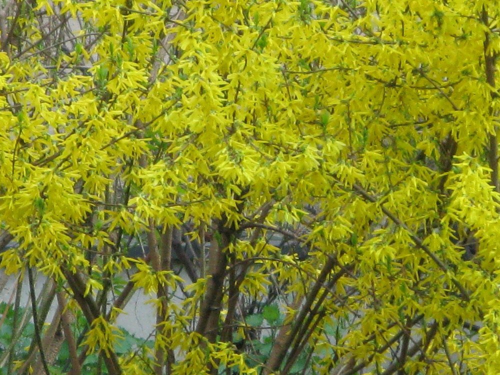 Фотография автора Тамара