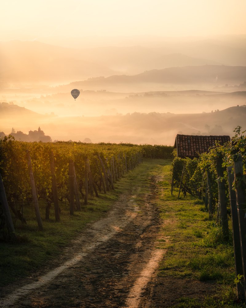 Photograph by Stefano Ricca