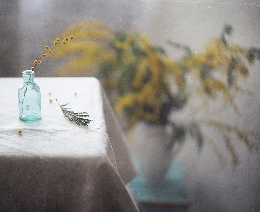 Photograph by Мария Сапего