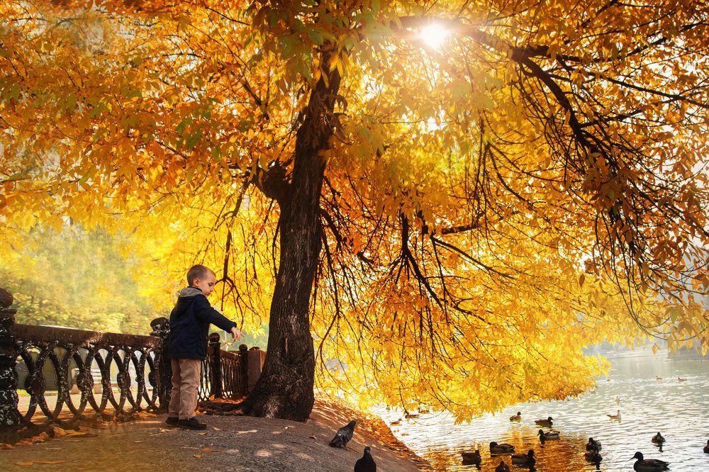 Photograph by Ольга Мищенко