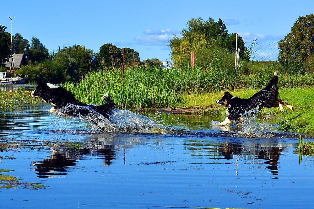 Photograph by Дмитрий Волков