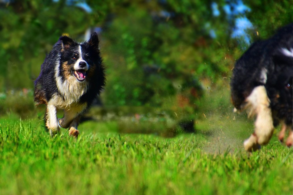 Photograph by Дмитрий Волков