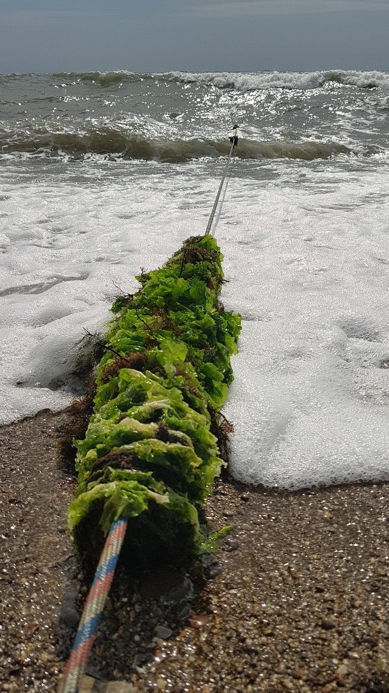 После шторма